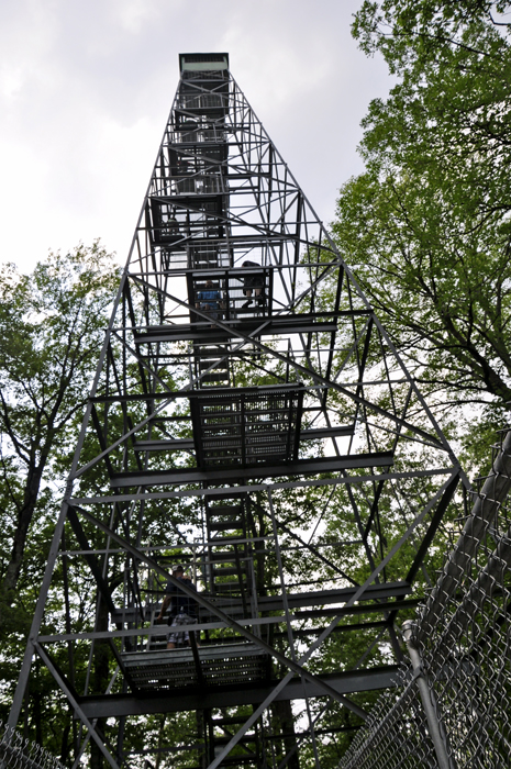 Aiton Heights Fire Tower in Itasca State Park
